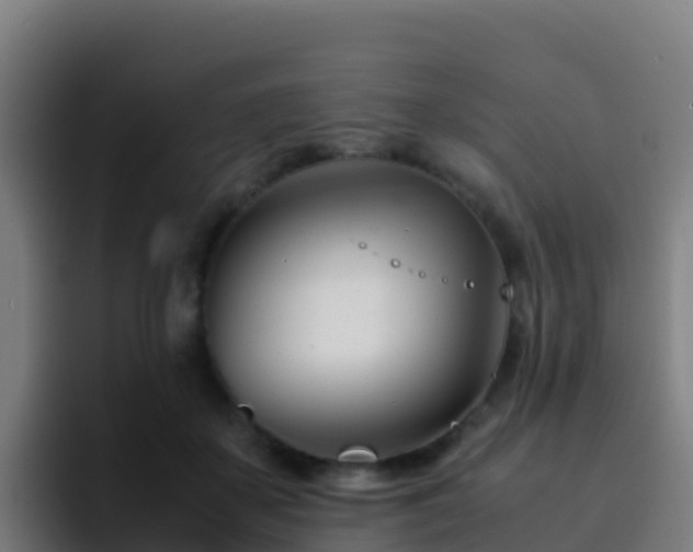 X0000094930507200712061132