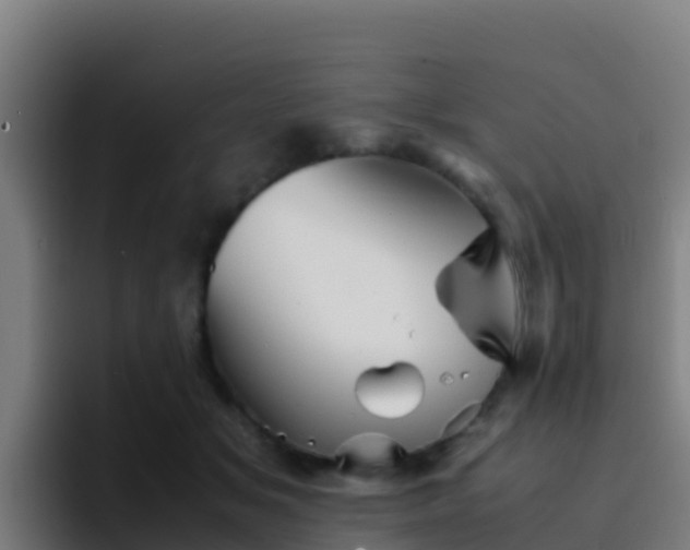 X0000094930509200712061132
