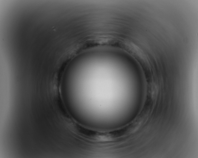 X0000094930510200712061132