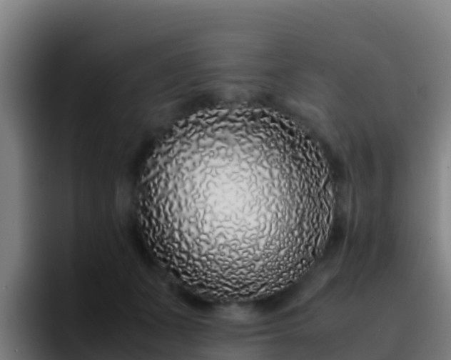 X0000094930511200712061132
