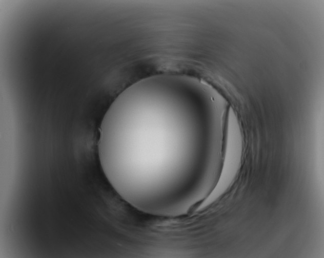X0000094930513200712061132