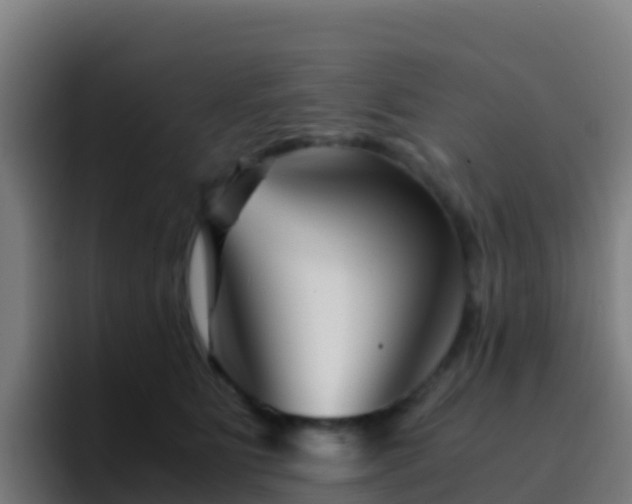 X0000094930515200712061131