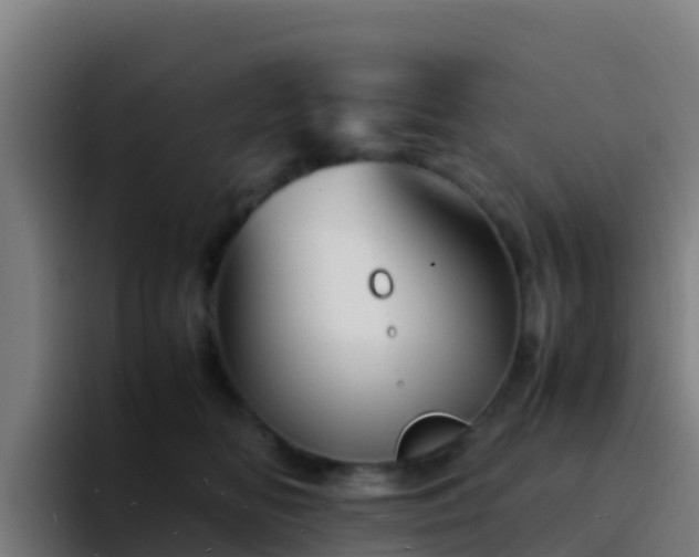 X0000094930518200712061131