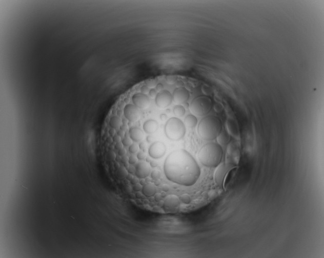 X0000094930519200712061131