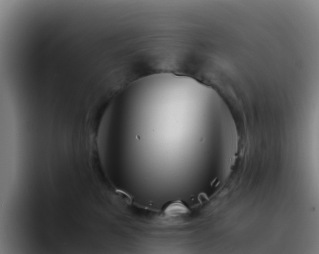 X0000094930521200712061131