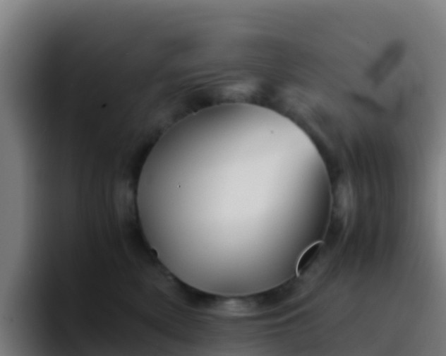 X0000094930522200712061131
