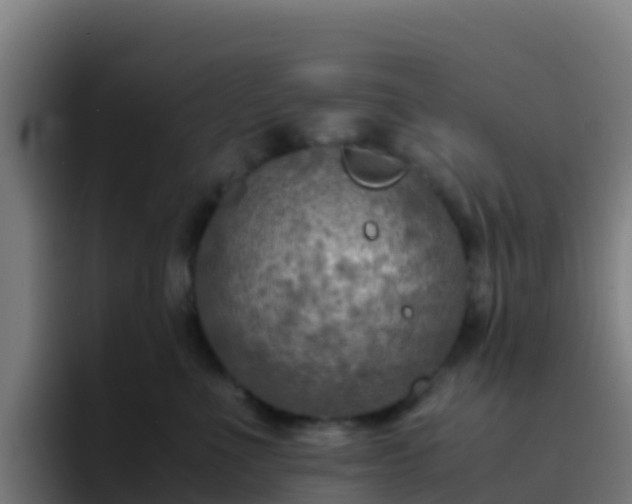 X0000094930523200712061131