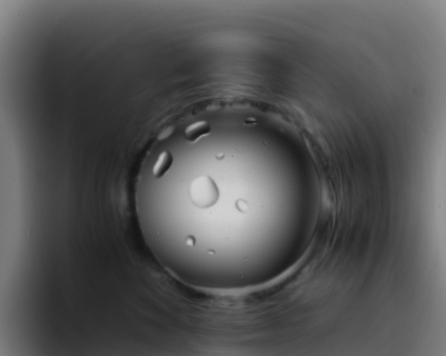 X0000094930524200712061131