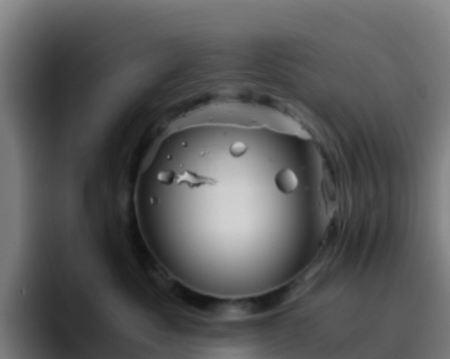 X0000094930525200712061131