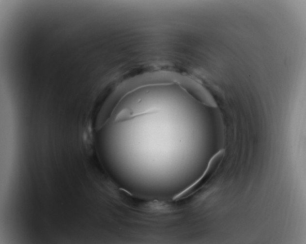 X0000094930528200712061131