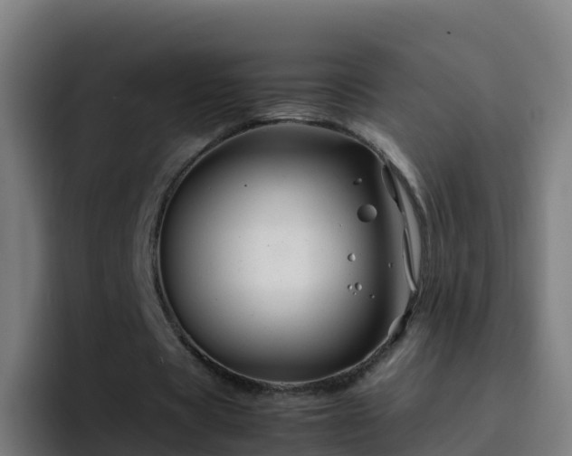 X0000094930529200712061131