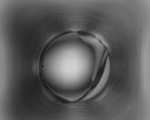 X0000094930530200712061131
