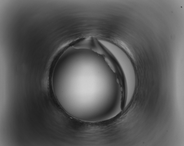 X0000094930531200712061131