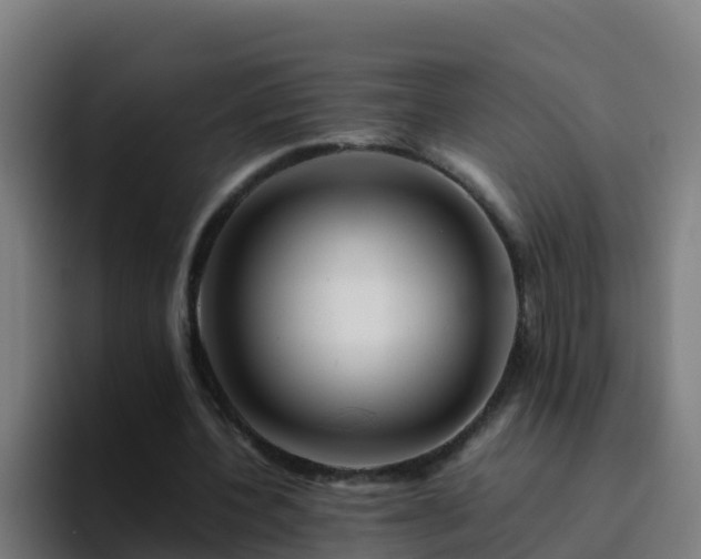 X0000094930532200712061131
