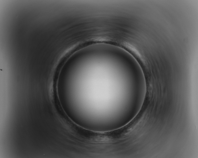 X0000094930535200712061131