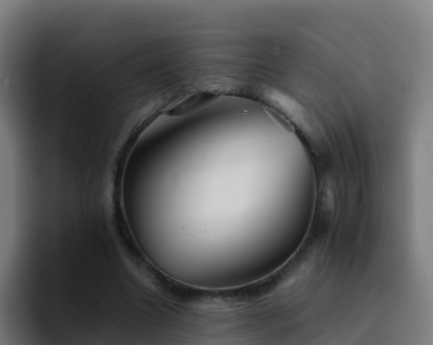 X0000094930538200712061131