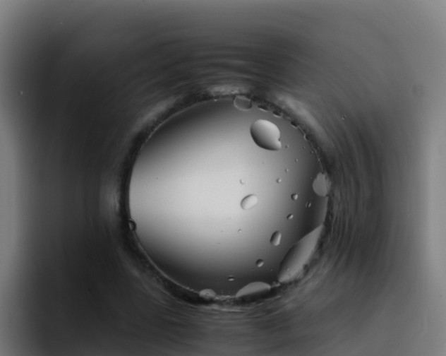 X0000094930539200712061131