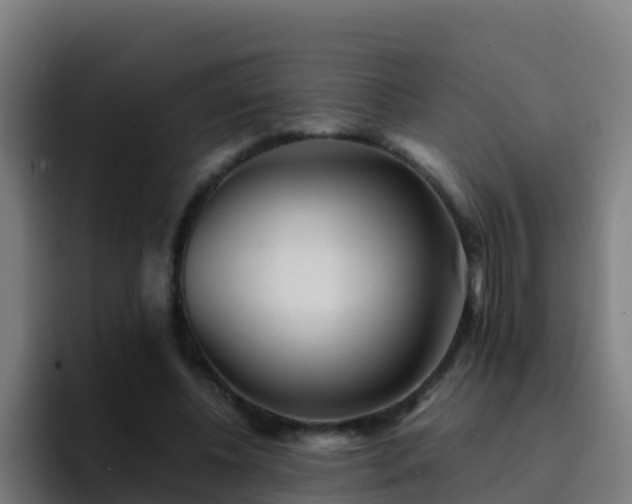X0000094930540200712061131