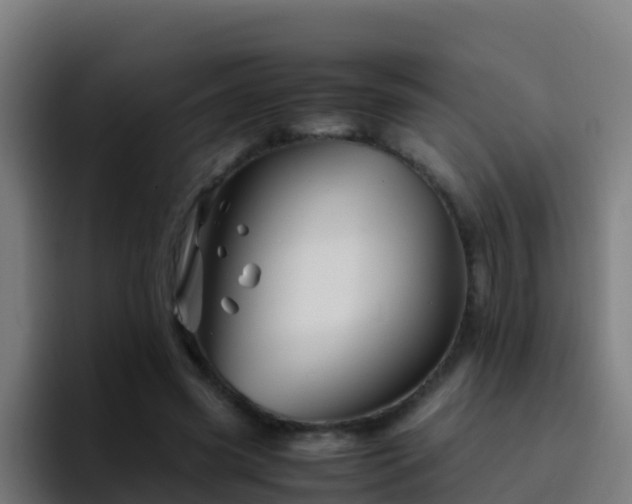 X0000094930541200712061131