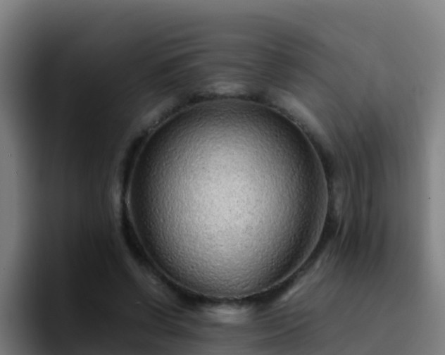 X0000094930542200712061131