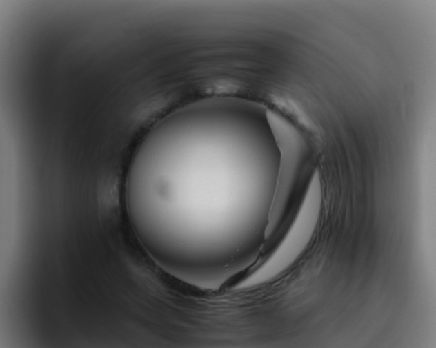 X0000094930543200712061131