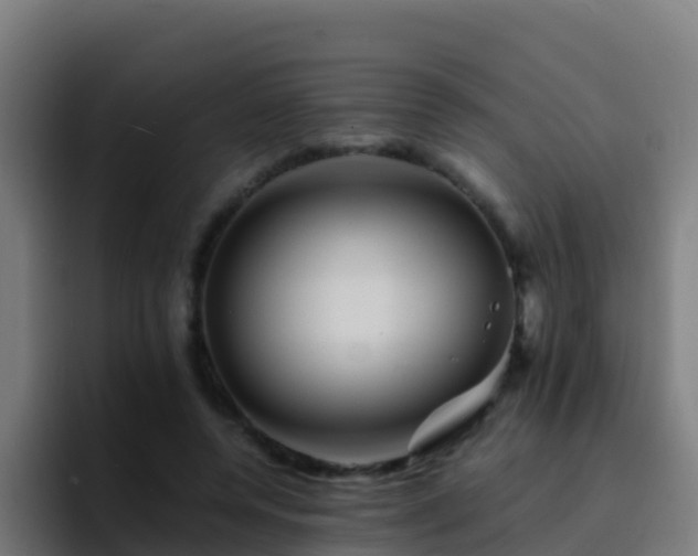 X0000094930544200712061131