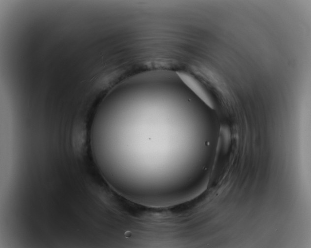 X0000094930548200712061131