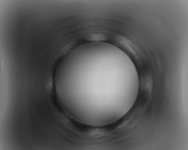 X0000094930549200712061131
