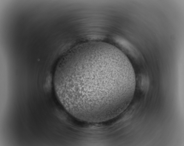X0000094930550200712061131