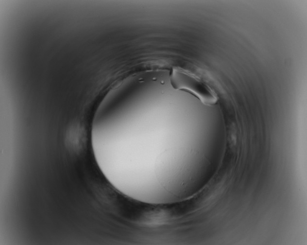X0000094930551200712061131