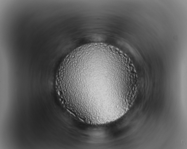 X0000094930553200712061131
