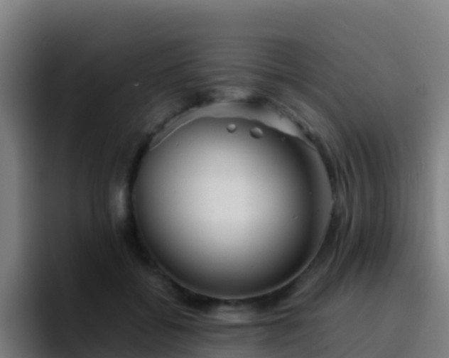 X0000094930556200712061131