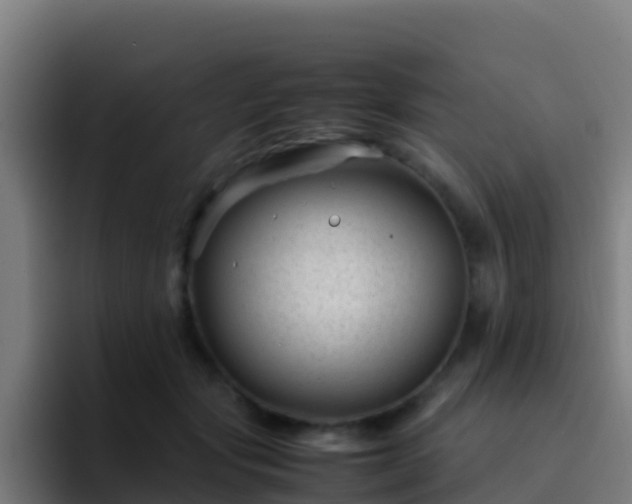 X0000094930557200712061131