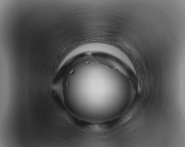 X0000094930558200712061131