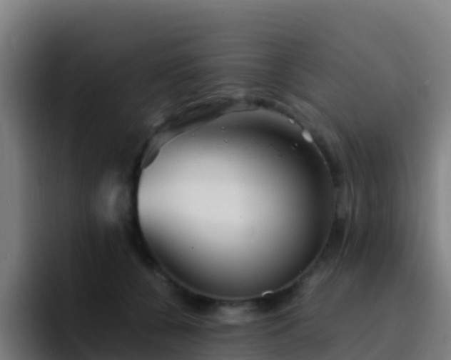 X0000094930560200712061131