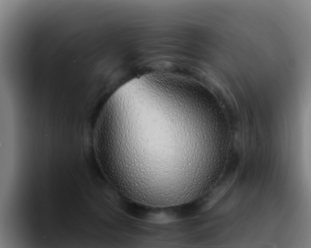 X0000094930561200712061131