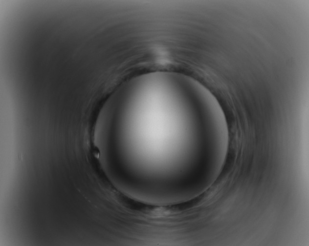 X0000094930562200712061131