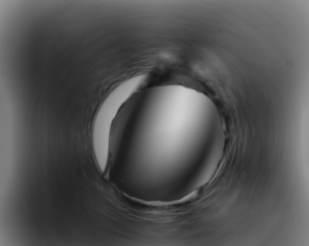X0000094930563200712061131