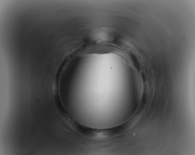 X0000094930564200712061131