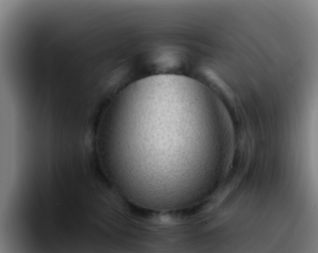 X0000094930565200712061131