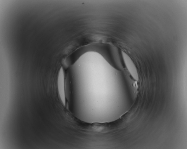 X0000094930570200712061131