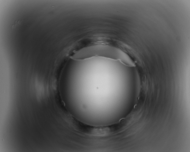 X0000094930571200712061131