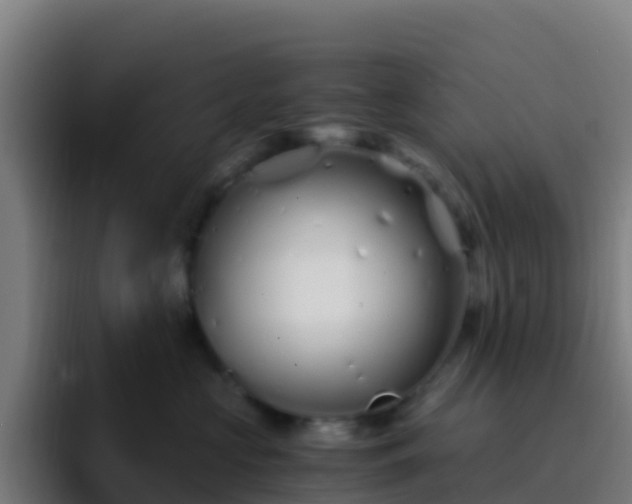 X0000094930573200712061131