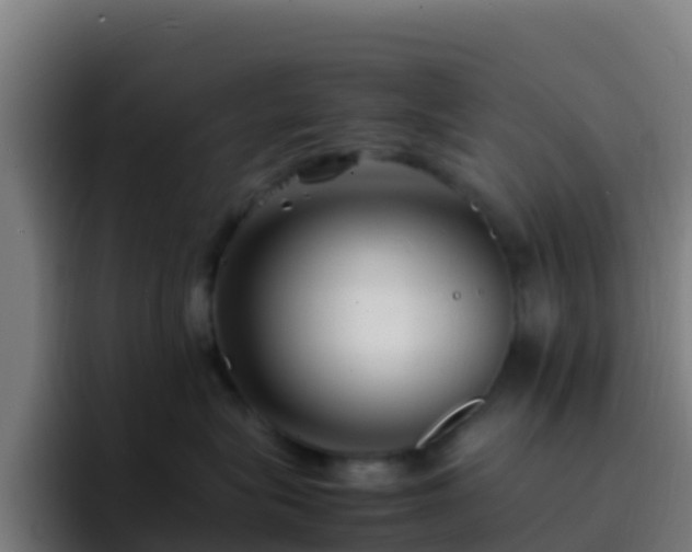 X0000094930575200712061131