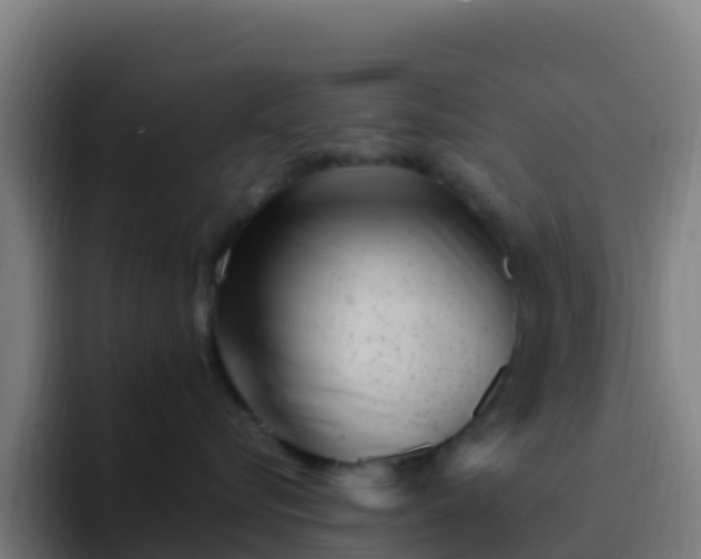 X0000094930576200712061131