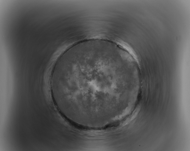 X0000094930577200712061131