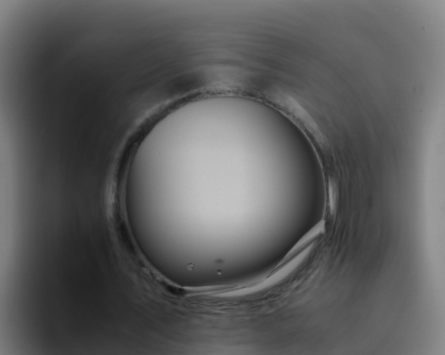 X0000094930579200712061131