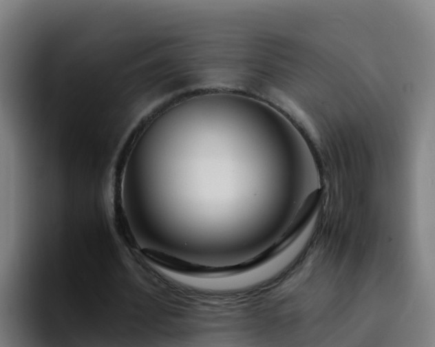 X0000094930580200712061131