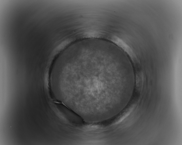 X0000094930581200712061131