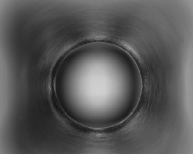 X0000094930582200712061131